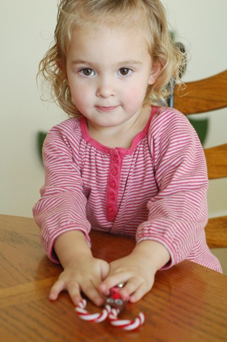 [reindeer1_web3.jpg]