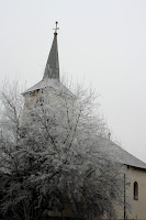 IMG_3820.JPG Photo