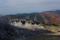 Cergov_1563.jpg Photo
