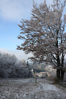 Cergov_1568.jpg Photo