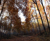 cierna_hora-boksovske_skaly-panorama-1.jpg (Veľká Lodina, Prešovský, Slovakia) Photo cierna_hora-boksovske_skaly-panorama-1.jpg (Veľká Lodina, Prešovský, Slovakia) Photo