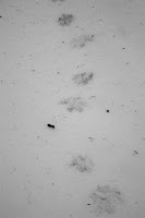 VolovskeVrchy-Doline_Zellerzug-01b.JPG Photo