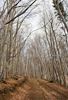 MalaFatra-Magura-Suchy-03.jpg Photo MalaFatra-Magura-Suchy-03.jpg Photo