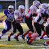 DSC_2302FightingFillies.jpg
