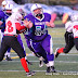 DSC_2365FightingFillies.jpg