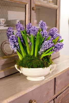 Immagina_fiori_0012