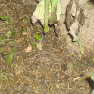 DSC05736.JPG