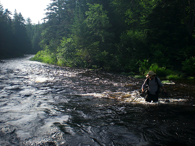 Crazy Legs fording a stream
