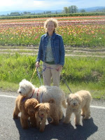 Melanie and  Doodles