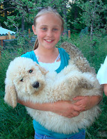 hey big puppy