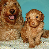 Mama La'Nora with her Pup