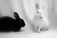 mama & papa1.jpg