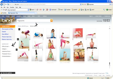 bing-visual2