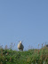 dsc03083.jpg