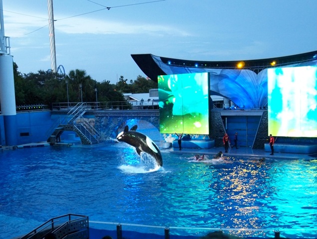 [Shamu Rock4[4].jpg]