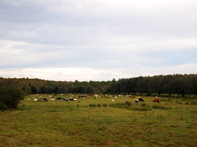 [PB0406313.jpg]