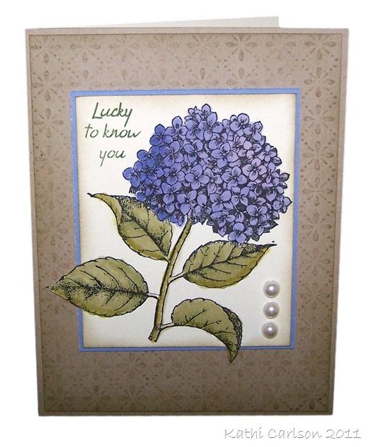 [Hydrangea_Mar 2011[13].jpg]