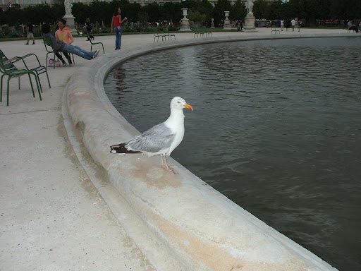 tuileries