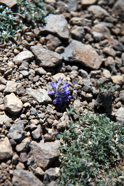 2009%20Steens%20%26%20Crater%20Lake%20trip%20130.jpg