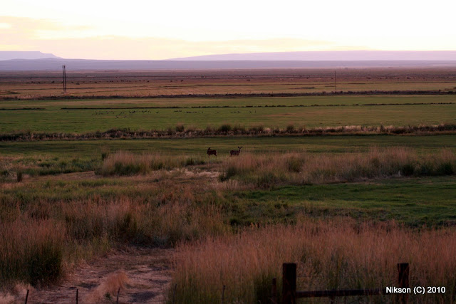 2009%20Steens%20%26%20Crater%20Lake%20trip%20203.jpg