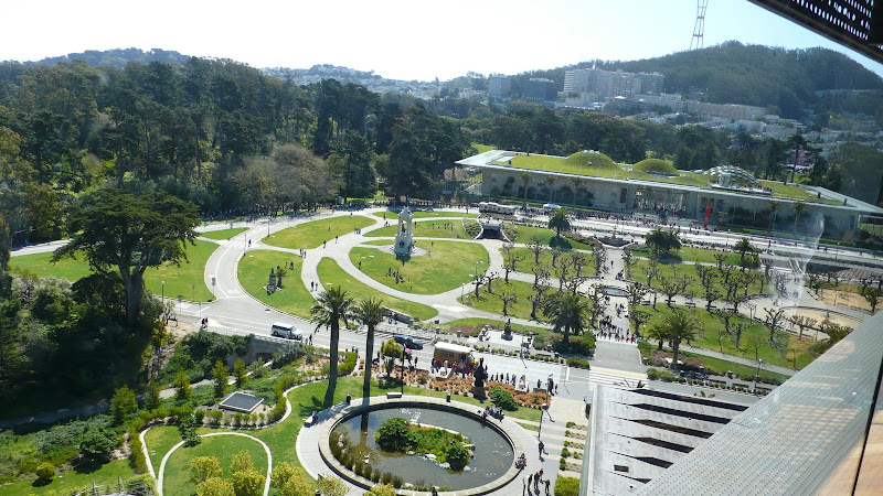 long line at California Academy of Sciences