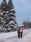 2010 Schonwald Winter Slideshow