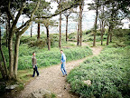 irland-23