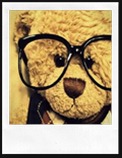 Clever_Teddy Clever_Teddy