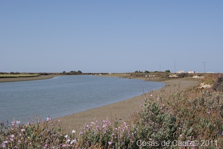 Un paseo por el caño del Trocadero 3