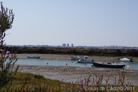 Un paseo por el caño del Trocadero 4