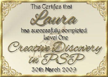 [laura_discovery1_certificate[2].jpg]