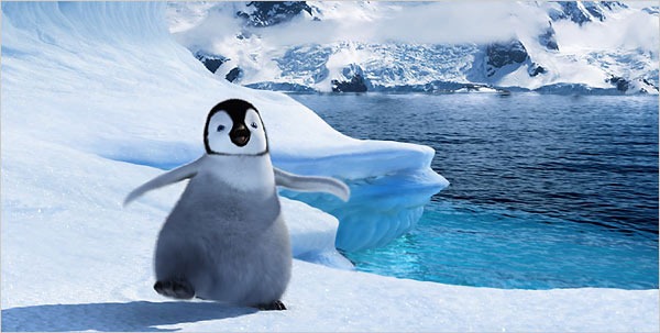 [penguin[5].jpg]