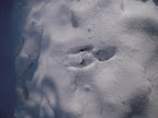 DSCN2387.JPG