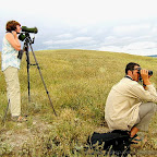 Pictures Daniel Petrescu