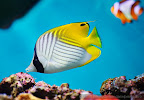 _C8T3840.JPG