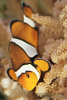 _C8T4058.JPG
