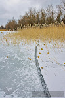 Ice-crack-Frozen-lake-in-the-Danube-Delta-1.JPG