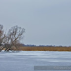 Winter-2010-Danube-Delta_by_Daniel_Petrescu