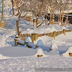 Winter 2009 by Daniel Petrescu