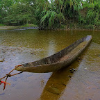 Ecuador by Daniel Petrescu