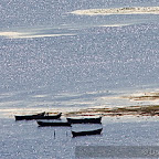 Boats by Daniel Petrescu