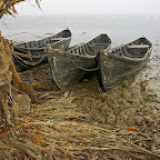 Boats by Daniel Petrescu