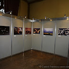 Exhibitions by Daniel Petrescu
