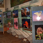 Exhibitions by Daniel Petrescu