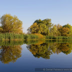 Canon Eos 7D pictures