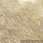 Canon Eos 7D pictures