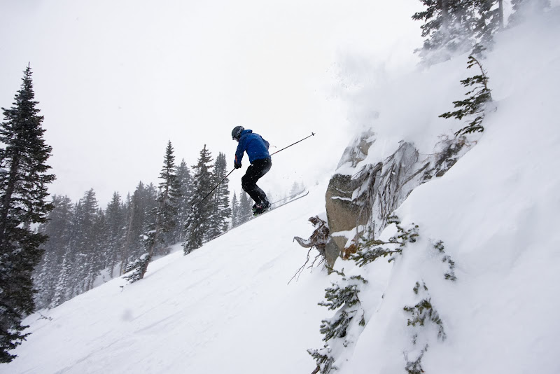 IMAGE: http://lh3.ggpht.com/_g1eUpE8zkKU/S1p0R_pBE6I/AAAAAAAAD_Q/w1eB9Rt3too/s800/2010-01-22%20Snowbird-3.jpg