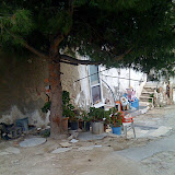 IMG_4080.JPG