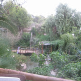 IMG_3735.JPG