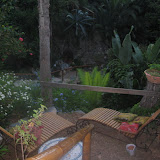 IMG_3737.JPG